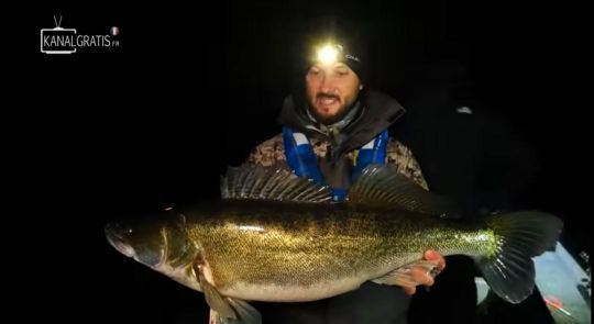 Un  dernier joli poisson de nuit pour finir cette 2ème saison du Zander Pro