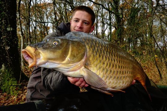 Les graines : des aimants à carpes.