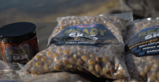 Ready Seeds de chez Starbaits.