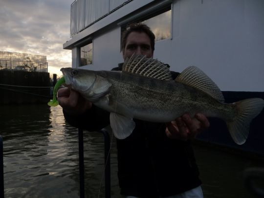 Les péniches sont souvent une source de chaleur l'hiver qui favorise la concentration de poissons blancs et des carnassiers.