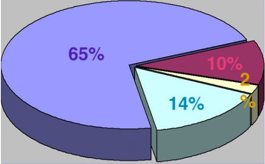 Répartition des éléments les plus importants : 65% glucides, 14% humidité, 10% protéïne et 2% lipides.