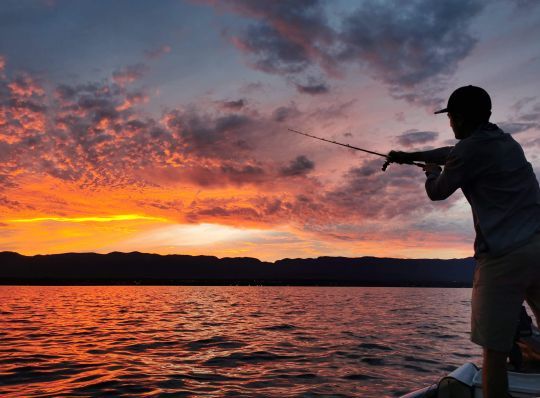 La pêche au leurre du bord - Sunset Fishing