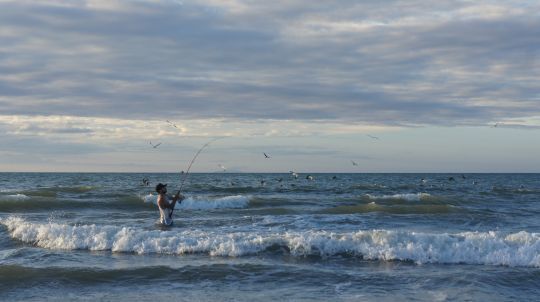 En mer ou en eau douce