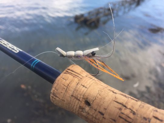 Une canne de puissance 8 permettra de lancer de petites mouches de surface comme cette pop-shrimp