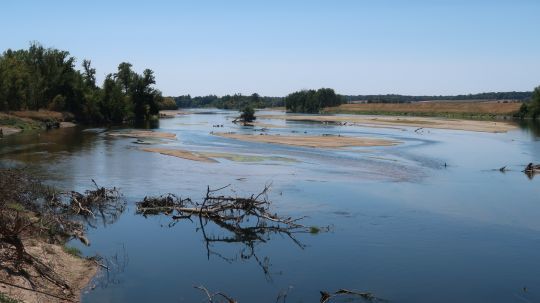 Très jolis secteurs pour l'aspe sur ce parcours de la Loire dans le Cher