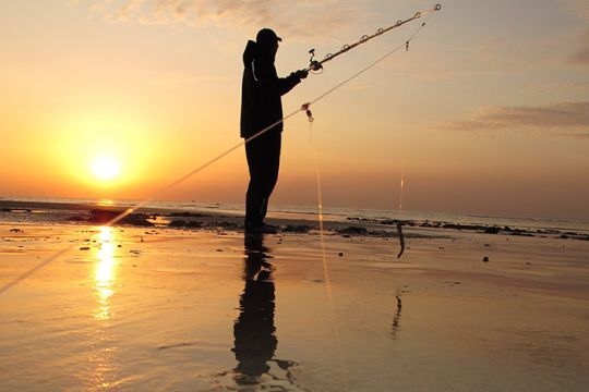 Avec ce texte, le CIEM ne devra enregistrer aucun prélèvement de bar par les pêcheurs du bord dans le nord-ouest de la France dans ses calculs pour la mise en place des quotas 2024