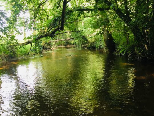 Un poste typique intéressant pour pêcher aux terrestres