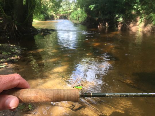 Mon imitation préféré de criquet monté sur ma SAGE DART 7,6 soie de 3