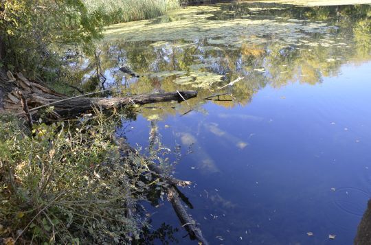 Prendre le risque de pêcher des obstacles