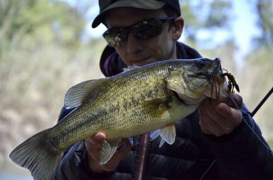 Débusquer le poisson où il se cache