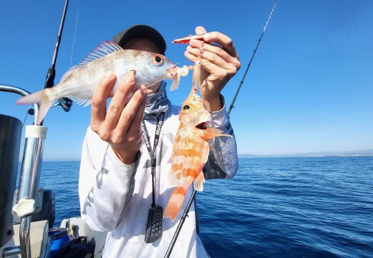 L'inchiku pour pêcher différentes espèces de poisson