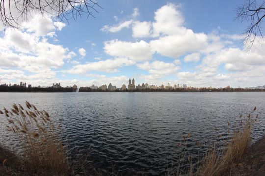Il est possible de pêche certains plans d'eau de central park, à New-York.