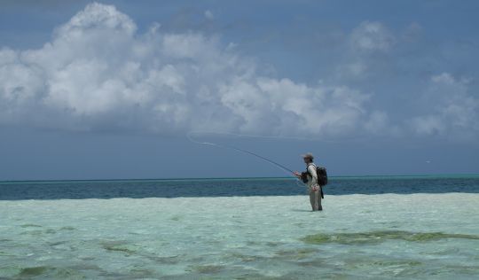 La pêche du bonefish se pratique souvent en wadding