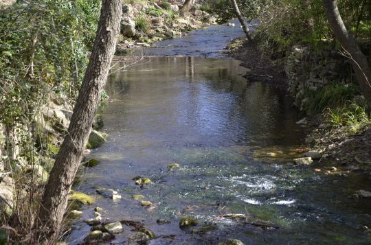 La découverte du Gapeau proche de Toulon