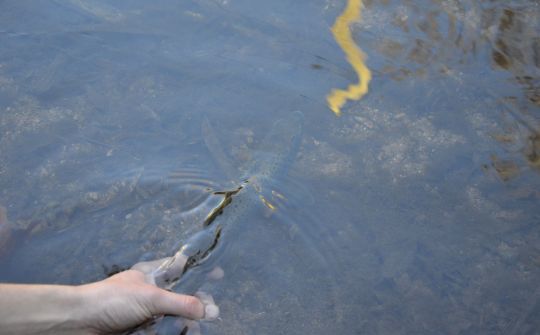 Laisser aux générations futures un monde où l'on pourra encore pêcher