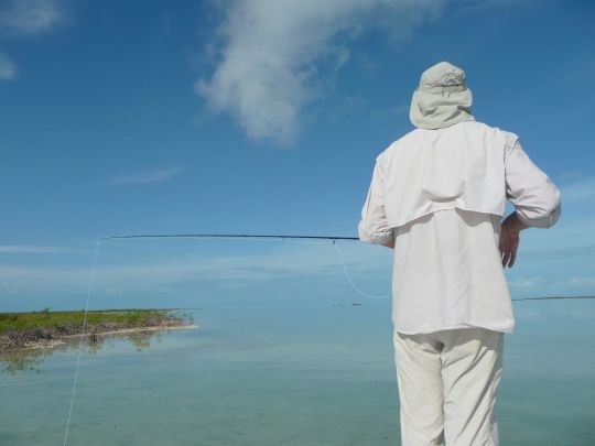 Mouche en main, le pêcheur est prêt à dégainer pour placer sa mouche devant un petit banc de bonefish ici en bordure de mangrove