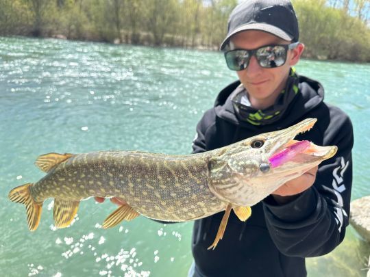 Un brochet en première catégorie