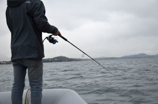 Des cannes adaptées aux pêches fortes