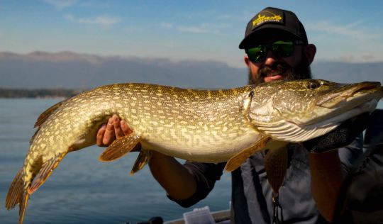 Damien pêche le brochet sur les lacs alpins