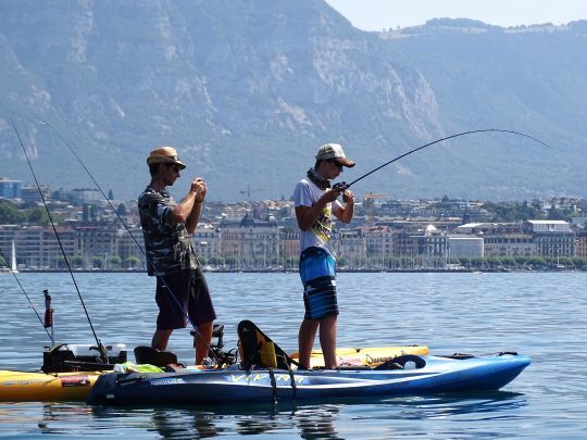 Choisir une canne adaptée à la pêche en traction