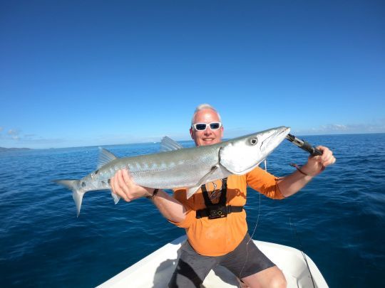 Bien manipuler un barracuda