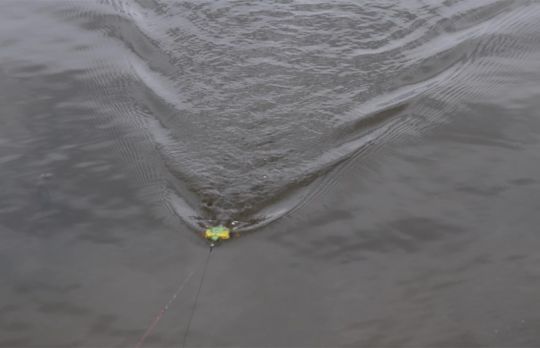 La vague que créer la Prop Turtle attire les poissons.