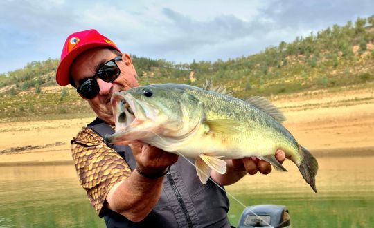 Des têtes plombées pour pêcher en eau douce ou en mer