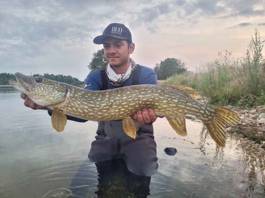 Un poisson pris au Vatalion juste au-dessus des herbiers en milieu de saison