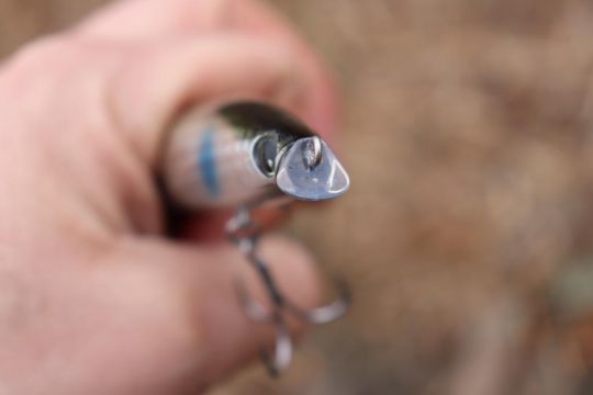 Une bavette bien étudiée pour pêcher les zones shallow.