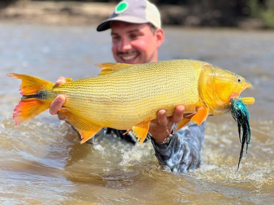 Pêcher le dorado à la mouche ou aux leurres