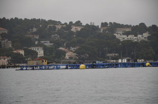 De plus en plus d'acquaculture