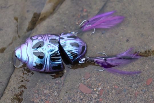 Les hameçons flottent en arrière.