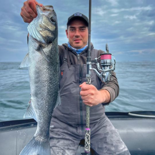 Quelques jolis bars étaient présents sur la zone de pêche.