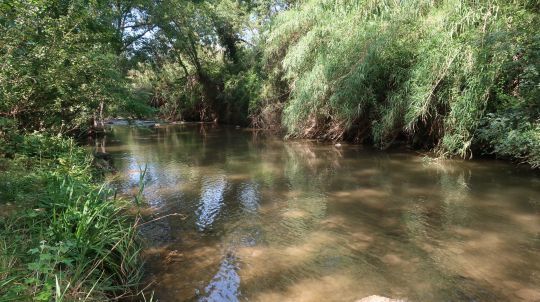 Jolie rivière du Sud de la France où il est possible de prendre ces trois espèces