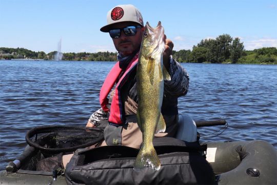 Un doré jaune, très rare sur ce lac.