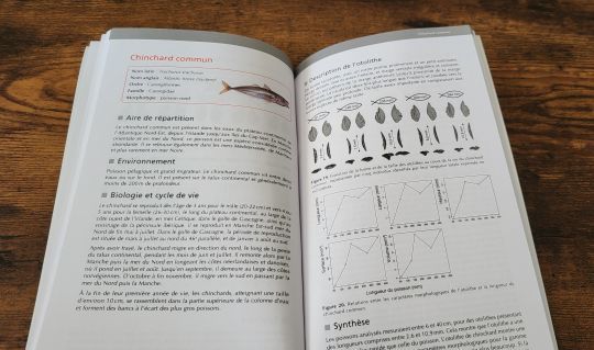 De nombreuses espèces de poisson étudiées