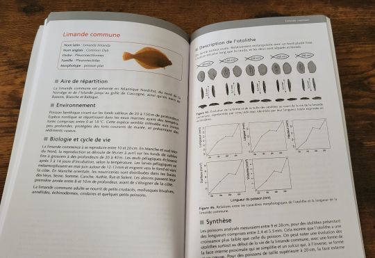 Des informations scientifiques pour les pêcheurs qui désirent apprendre