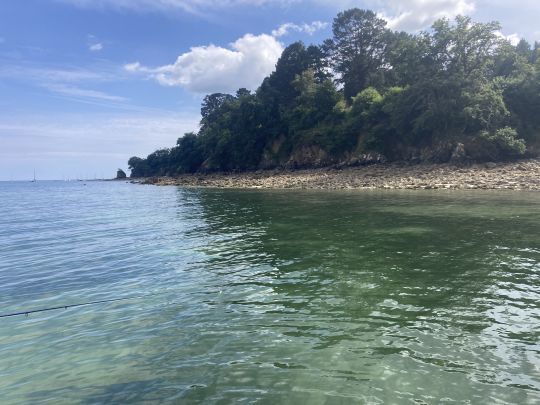 Une jolie bordure pour le bar sur la côte bretonne en Finistère-Sud