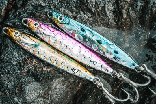 Jigs Biastos pour pêcher le bar