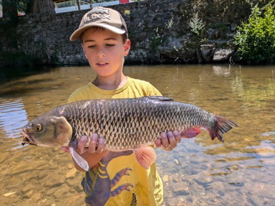 Marc nous présente ce "monstre", queue légèrement en retrait du fait de la longueur et de la lourdeur de ce poisson