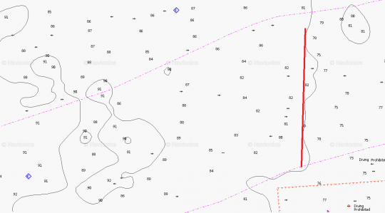 Les lignes de sonde concentrent les poissons.