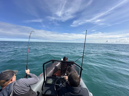 Un poisson devant, l'autre à tribord !  Il est impossible de gérer le combat au moteur ! 