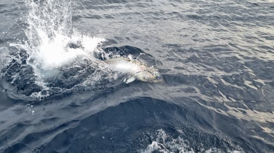 La réglementation doit être respectée par tous les pêcheurs