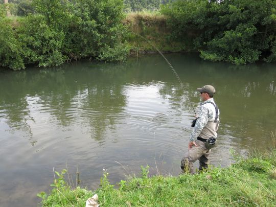 Les truites de mer sont de vaillantes combattantes peu importe leur taille