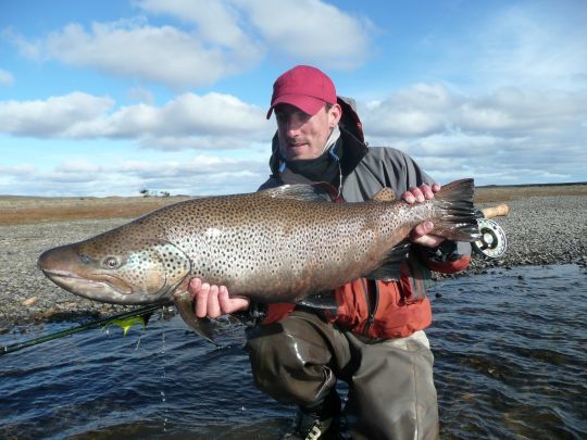 Truite de mer trophée prise sur le Rio Grande par l'auteur au streamer (leech)