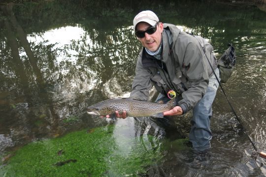 Jolie truite normande prise sur une mouche noyée avec pattes en plastique typé Rio Grande! Une attaque sous la surface mémorable! 