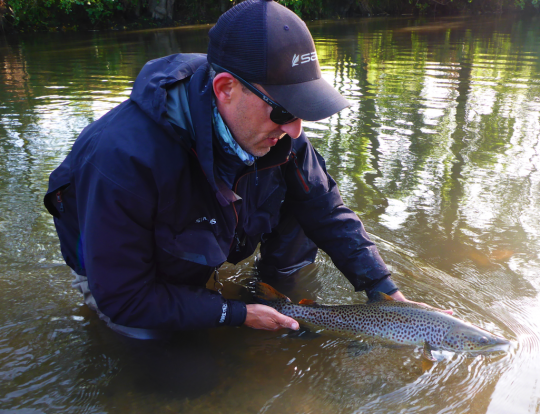 Remise à l'eau d'une superbe truite de mer prise au tube fly par l'auteur