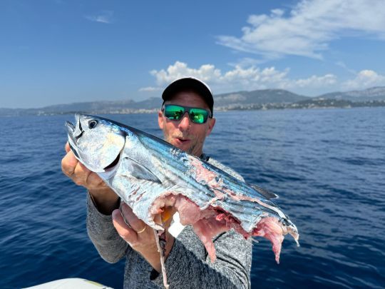 Quand un requin mako attaque ton poisson !