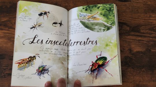 Pour les passionnés de pêche et de bel ouvrage