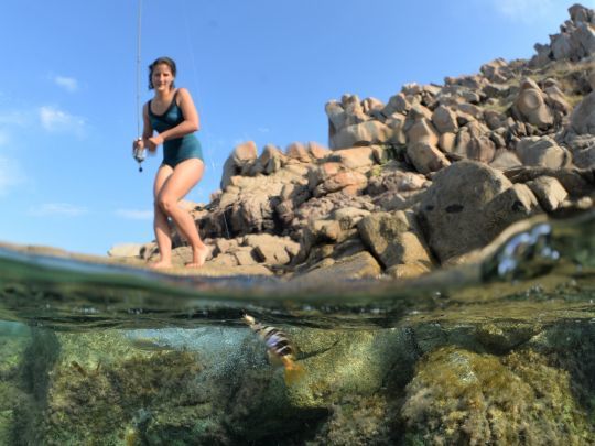 Le rockfishing peut se combiner facilement avec une journée plage en famille